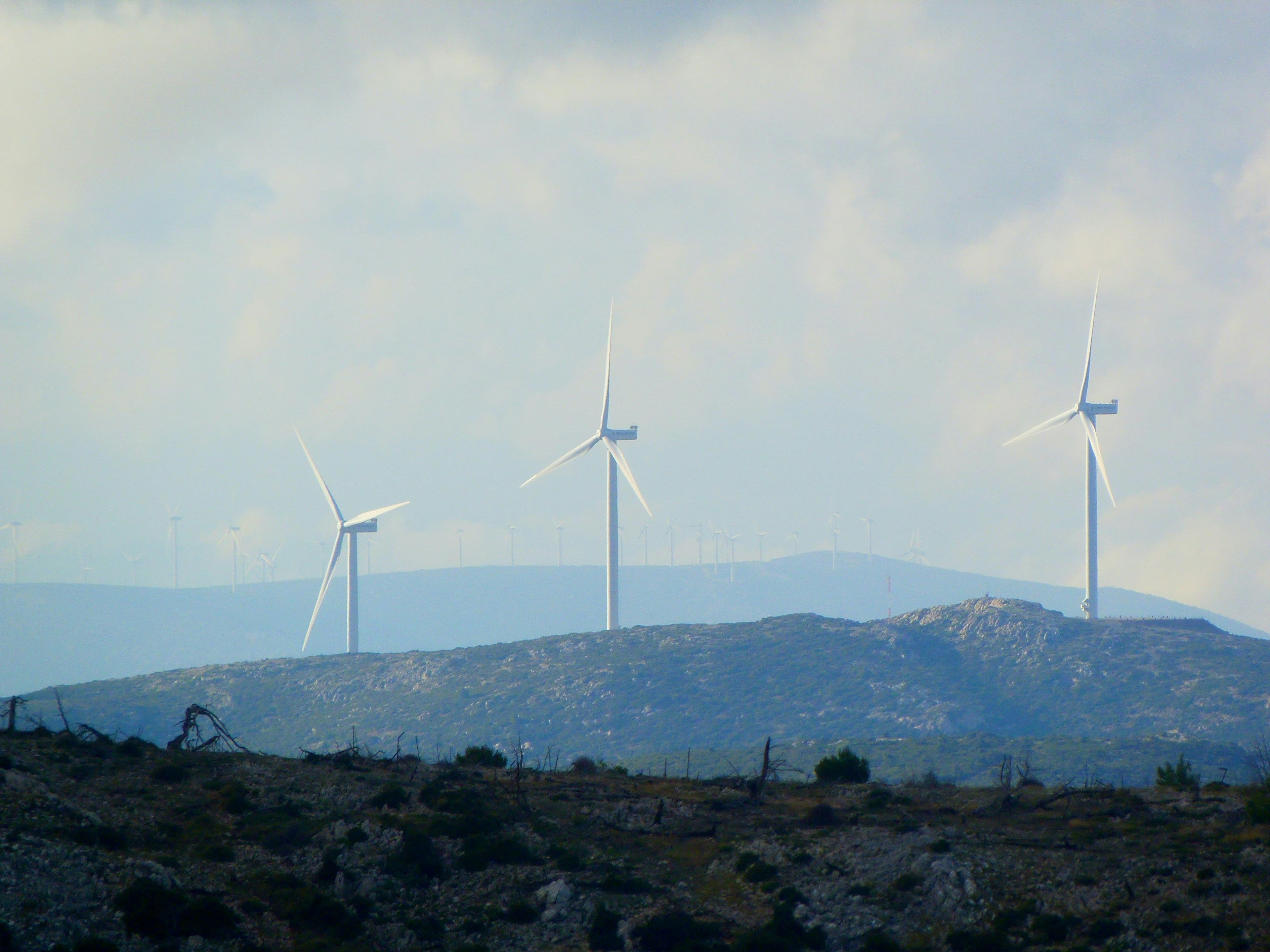 Image of Windmills